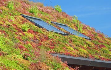 Coombeswood living roof systems